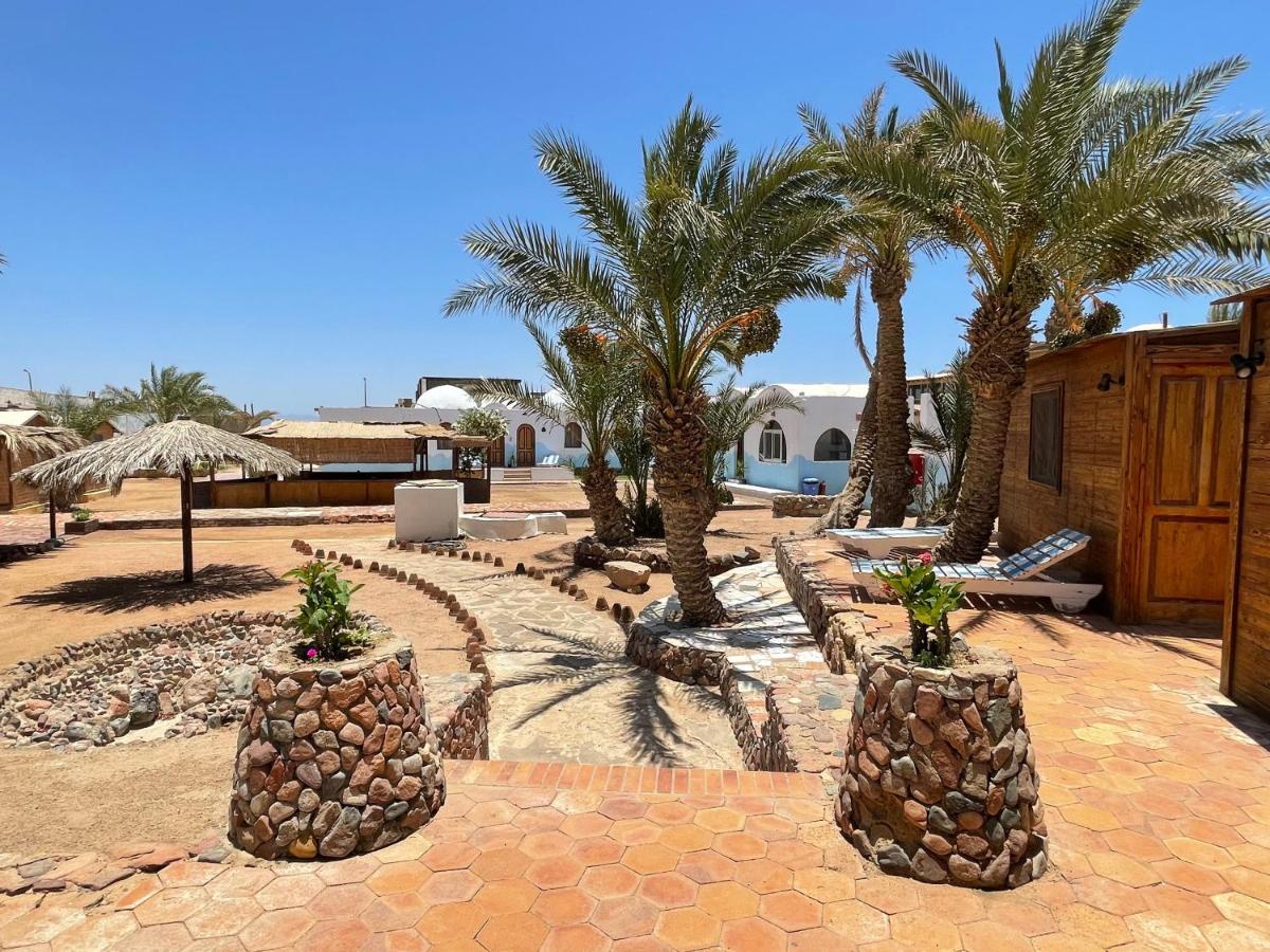 Dolphin Camp Hotell Dahab Eksteriør bilde