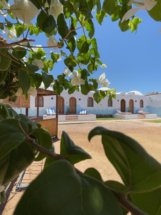 Dolphin Camp Hotell Dahab Eksteriør bilde
