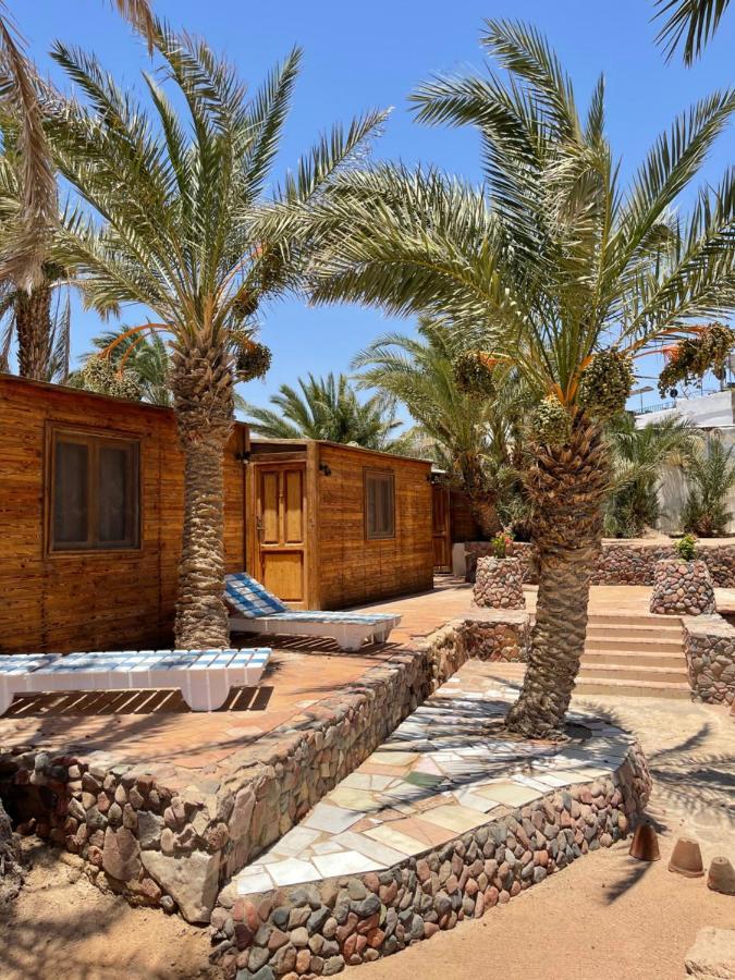 Dolphin Camp Hotell Dahab Eksteriør bilde