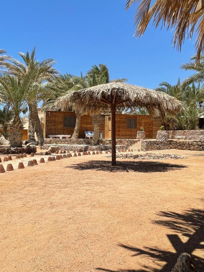 Dolphin Camp Hotell Dahab Eksteriør bilde