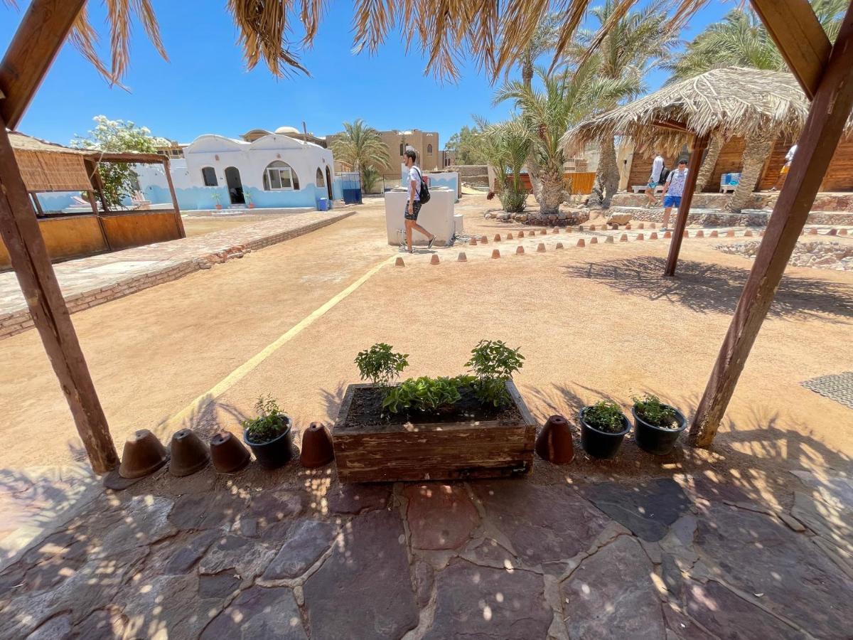 Dolphin Camp Hotell Dahab Eksteriør bilde