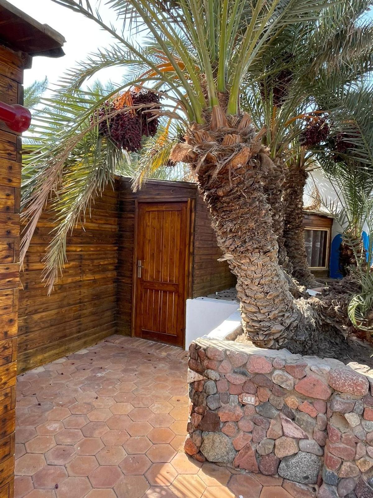 Dolphin Camp Hotell Dahab Eksteriør bilde