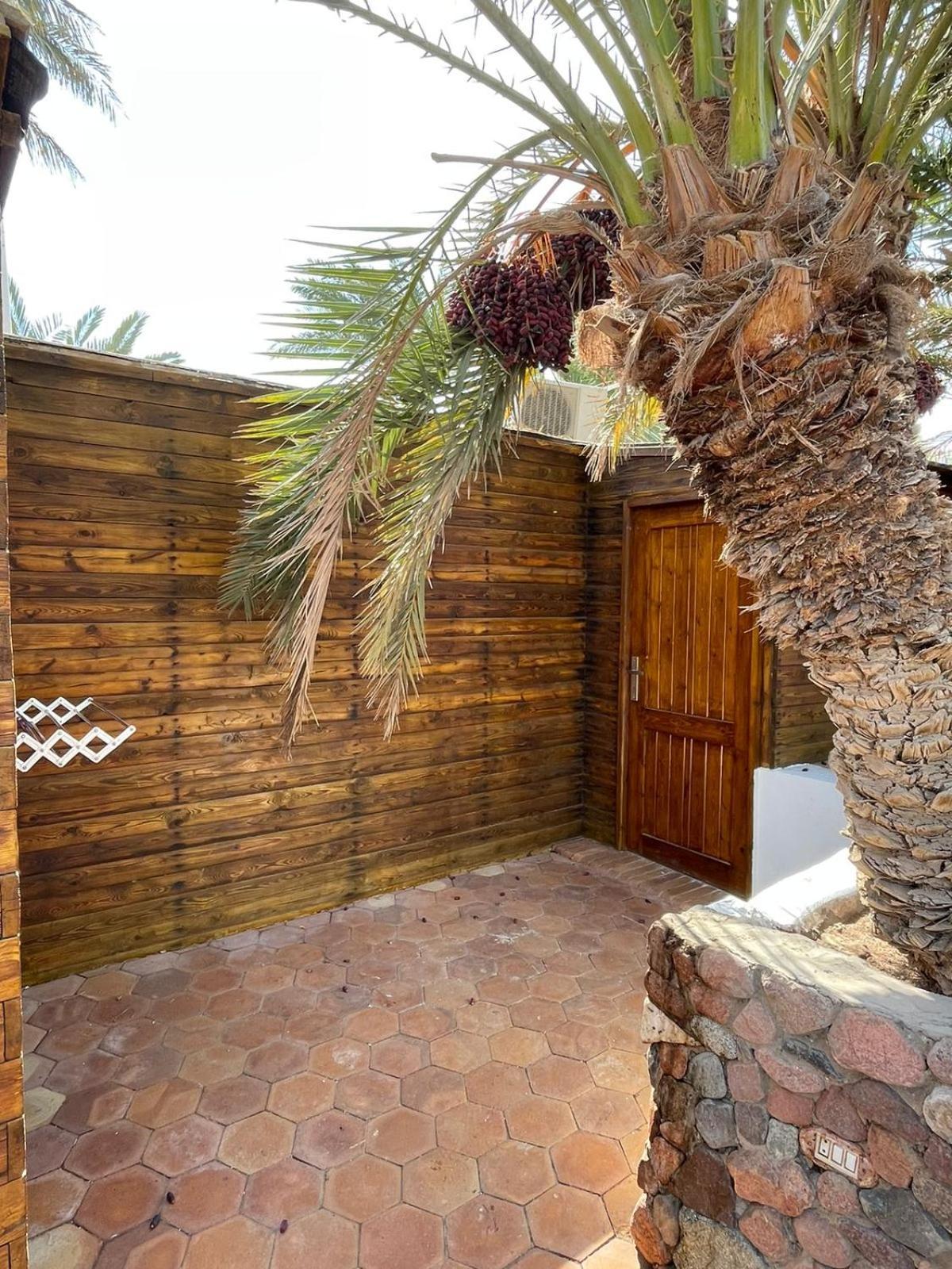 Dolphin Camp Hotell Dahab Eksteriør bilde